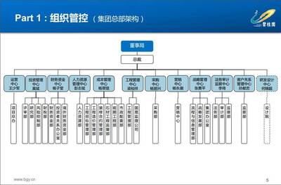 5500亿背后 一个农民领导的人力资源变革与碧桂园总部管理体系全貌